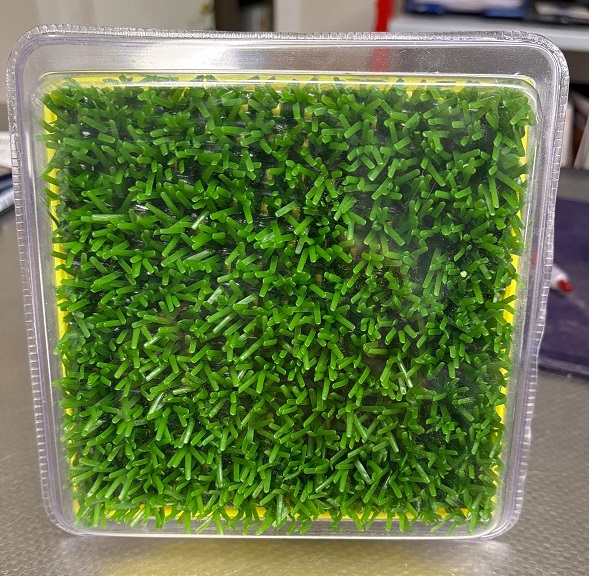 ZERBINO PER DECORAZIONI