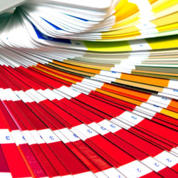 box area colori box area colori